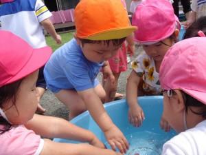 すぎのこ日記 社会福祉法人シンエイ福祉会